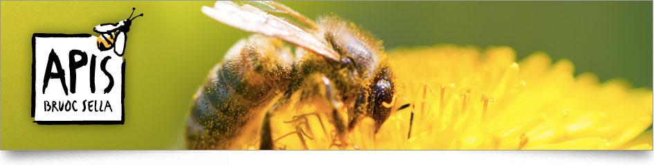 Les métiers de l'abeille