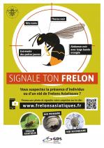 Signalement Frelon asiatique